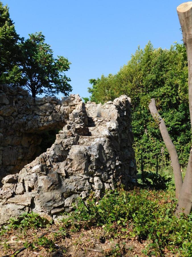 Appartamento Con Piscina Immersa Nel Verde Cascina Bagian luar foto