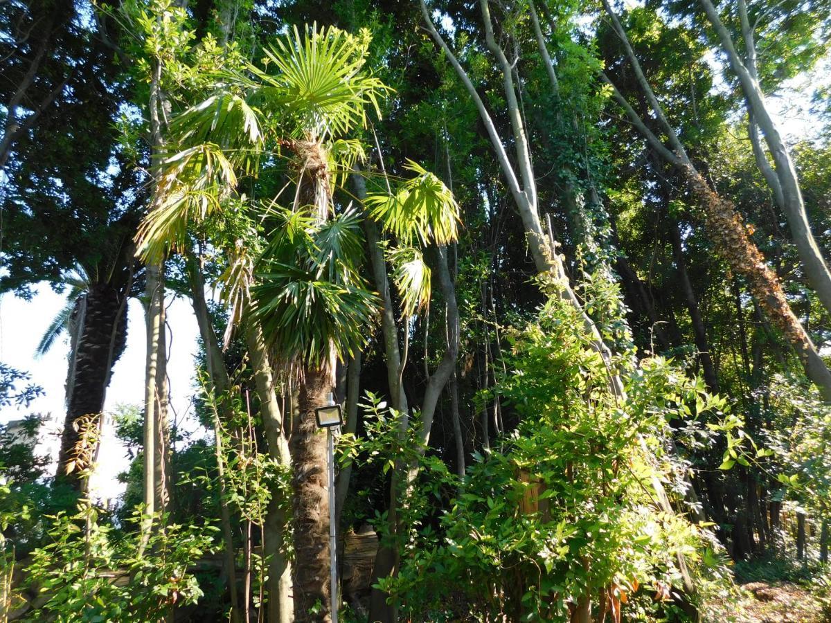 Appartamento Con Piscina Immersa Nel Verde Cascina Bagian luar foto