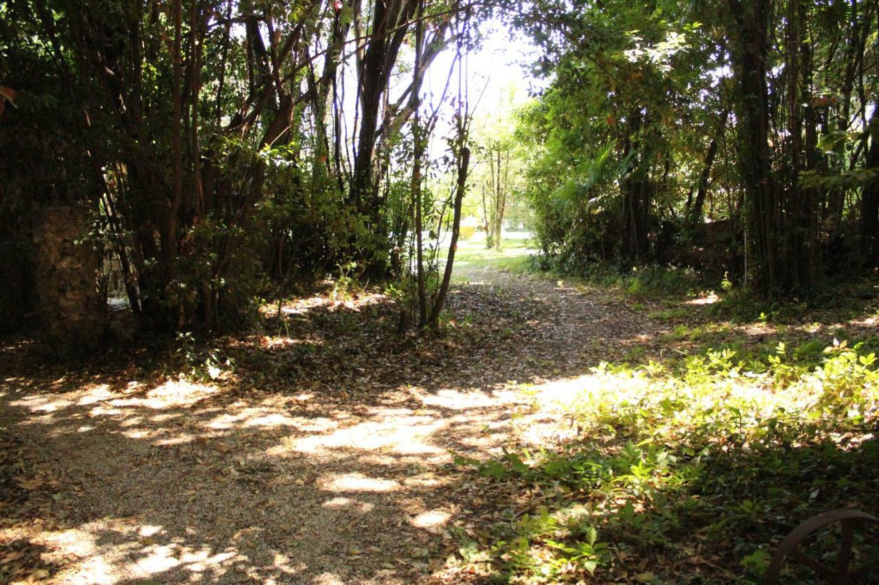 Appartamento Con Piscina Immersa Nel Verde Cascina Bagian luar foto